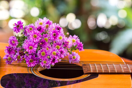 Guitar and flowerの写真素材
