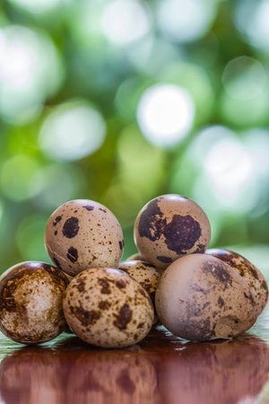 Quail eggs on a wooden tableの写真素材