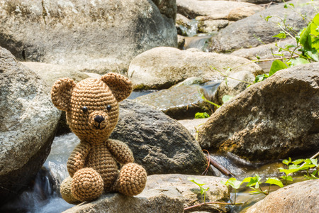 Single bear doll on nature background