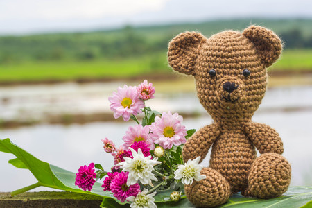 Single bear doll and flowers on nature backgroundの写真素材