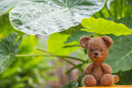 Single bear doll in the rainの写真素材