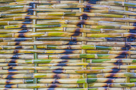 Bamboo wall for background