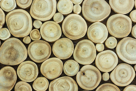 wood circle background textureの写真素材
