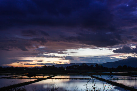 Landscape of rice field with twilight sky sunsetの写真素材