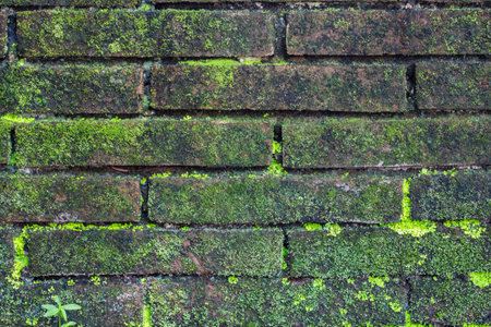 brick wall for backgroundの写真素材