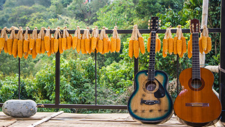 old guitars and row of yellow dried corn seed background
