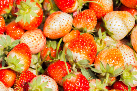 closed-up fresh strawberriesの写真素材
