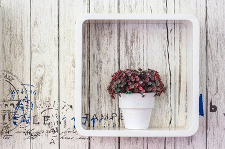 the plastic flower for decorateの写真素材