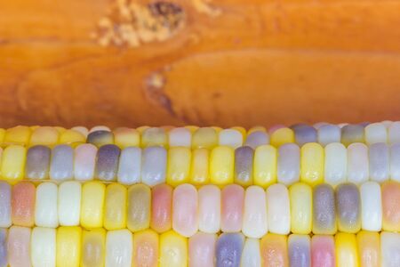 closed up sweet  waxy corn on wood tableの写真素材