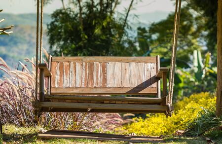 swing wood on nature backgroundの写真素材