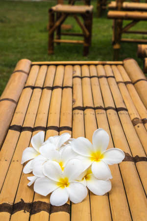 cute frangipani on bamboo deskの写真素材