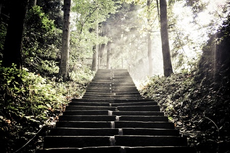 the stairs in zhangjiajie national park, china