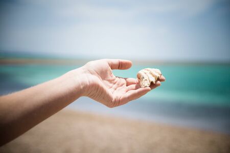 woman`s hand is holding shell on the sea backgroundの写真素材