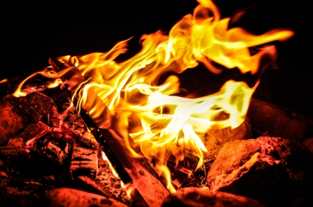 Background of flames and glowing embers in a Campfireの写真素材