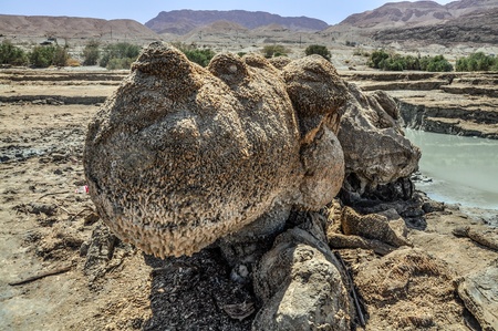 big boulder is covered wih salt from the Dead Sea