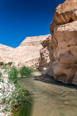 Water flows through the Western Jordan in Wadi Hasaの写真素材