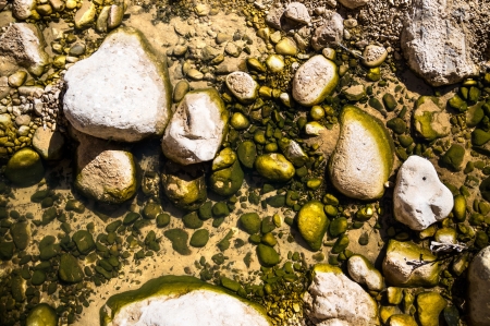 pebbles and rocks near the creek in clear waterの写真素材