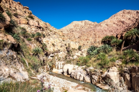 Landscape of flowing water of creek in Wadi Hasa, Jordanの写真素材