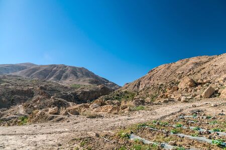 Landscape of desert in Wadi Hasa, Western Jordan