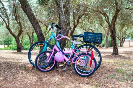 Two parked coloured bicycles in the parkの写真素材