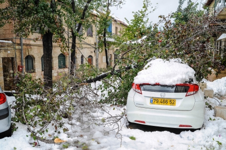 Tree fell on the car during snowing storm in Jerusalem, December 13, 2013のeditorial素材