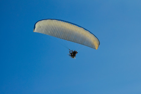 Paraglider flying in the clear blue skyの写真素材