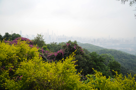 Urban landscape in mist from the mountain topの写真素材