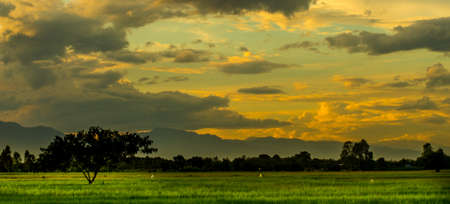 The view Twilight with Sunset  ,horizonの写真素材