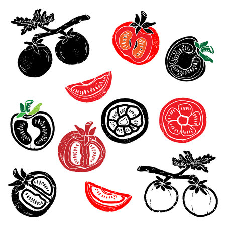 Tomatoes. Illustration in linocut style. Vector texture set of elements for designのイラスト素材