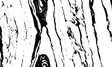Grunge abstract black texture. Vector backgroundのイラスト素材