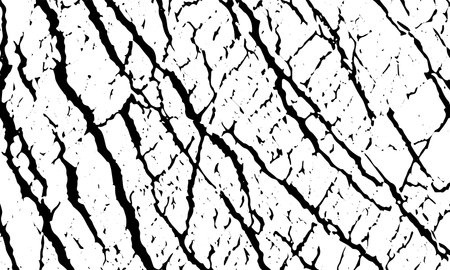 Grunge black texture of stone cracks, veins, stripes, lines. Vector backgroundのイラスト素材
