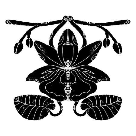 Orchid composition. Black element, rough surface, grunge texture, linocut style, Scandinavian style. Country style, folk art. Cut out the elements. Vector design element.のイラスト素材