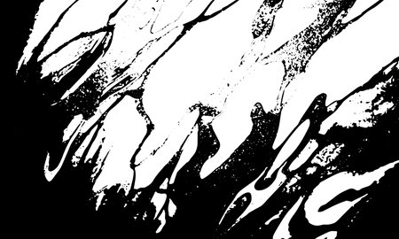 Grunge detailed black abstract texture. Vector background.のイラスト素材