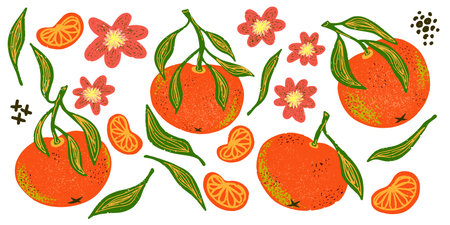 Tangerine, slices, flowers and leaves. Plant texture graphic elements. Vector set, clipart, bundleのイラスト素材