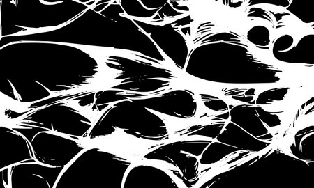 Grunge detailed black abstract texture. Vector background