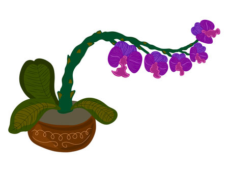Vector element hand drawn flat cartoon style. Stylized floral arrangement for cards, invitations, etc. Floral element, orchid in a potのイラスト素材