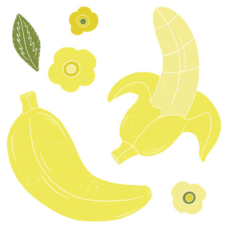 Bananas. Tropical exotic set. Texture vector elementsのイラスト素材