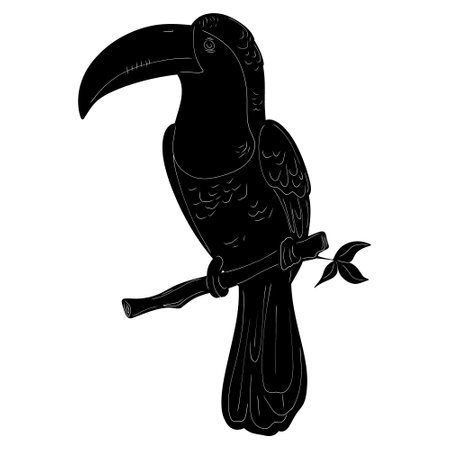 Toucan Natural Bird View Black Vector Silhouette Design Elementのイラスト素材