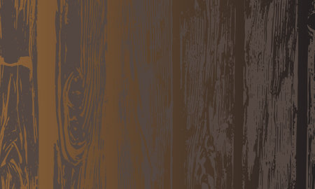 Grunge detailed color texture of old wooden boards, wood panels, floor, doors, walls. Vector backgroundのイラスト素材