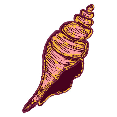 Shell in stylized technique. Marine world, shell texture, pencil marker strokes. Vector elementのイラスト素材