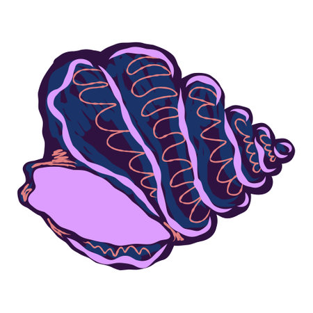 Shell in stylized technique. Marine world, shell texture, pencil marker strokes. Vector element