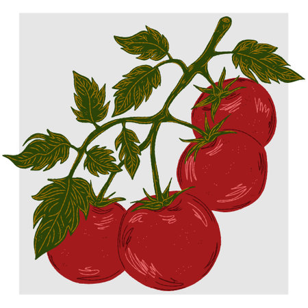 Branch with red ripe tomatoes and leaves. Mediterranean elements, exotic tropical. Textured illustration with sketch elements hand drawnのイラスト素材