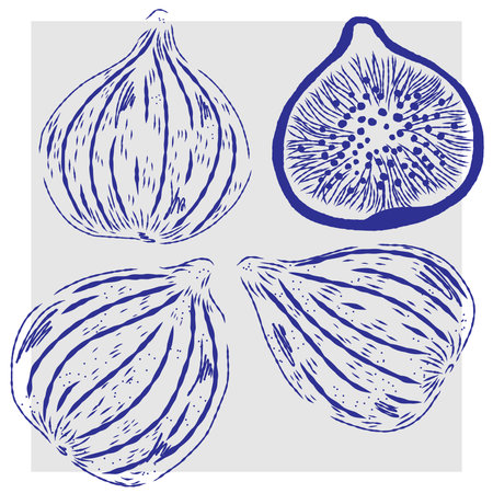 Vintage hand-drawn illustration with clean, crisp lines. Pen and ink.のイラスト素材