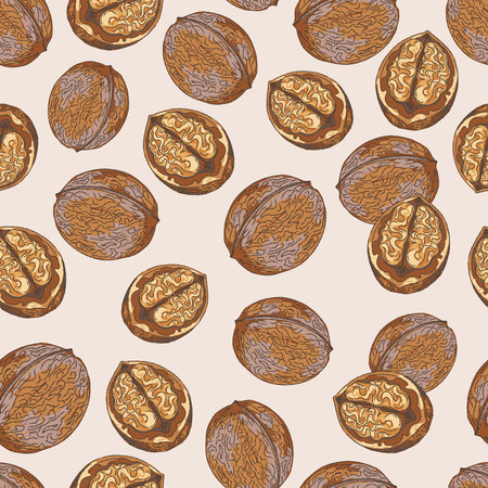 Walnuts Seamless Pattern. Vintage hand-drawn illustration in a sketchy style with clean contour lines and colorful, textured brushstrokes.の写真素材