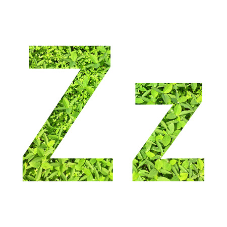 English alphabet Z.z made from green grass on white background for isolated with clipping path, Capital letter and small letter  from green grass on white background for isolatedの写真素材