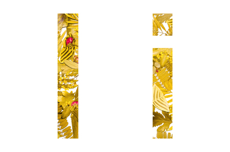 English alphabet of I. made from dry leaves and dry grass on white background for isolated with clipping path, Capital letter and small letter  from dry leaf on white background for isolatedの写真素材