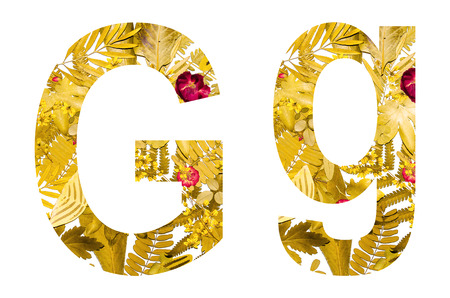 English alphabet of G. made from dry leaves and dry grass on white background for isolated with clipping path, Capital letter and small letter  from dry leaf on white background for isolatedの写真素材