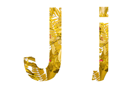 English alphabet of J. made from dry leaves and dry grass on white background for isolated with clipping path, Capital letter and small letter  from dry leaf on white background for isolatedの写真素材