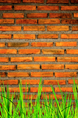 The wall from brick and brick background with grass on below, red brick and grass on below and pattern of brick wall background, old brick wall texture with grass on belowの写真素材