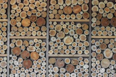 Timber floor background element for design